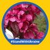 Pia Nilsson - Facebook