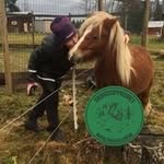 Pia Nilsson - @pianilsson_ - Instagram