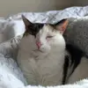 Pia - @pia.singh11 - TikTok