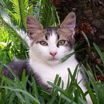esposito piera - @esposito.piera2170 - Instagram