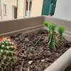 Piera Esposito - @pieraesposito2 - TikTok