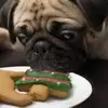 kelleypiercebyrd - @kelleypiercebyrd - TikTok