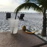 Pierce Byrd - @pierce_torian - Instagram