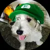 Piero Vasquez - @pierova_ - TikTok