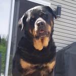 Pierre Audette - @audette.pierre - Instagram