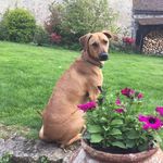 Pierre Bazin - @bazin2266 - Instagram