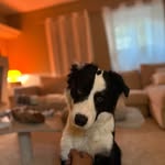 Pierre Belle - @pdro.belle - Instagram