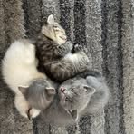 Pierre Boyer - Facebook