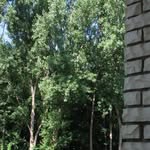 Pierre Caouette - @pierre.caouette.1 - Instagram