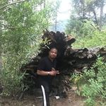Pierre Clark - @pierre.clark.16 - Instagram