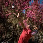 Pierre de Colbert - @pierre2colbert - Instagram