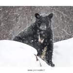 Pierre Colin - @pierrecolinphotographe - Instagram