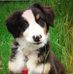 Pierre Colin - Facebook