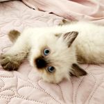 Cooper Pierre K - @cooperpierrek - Instagram