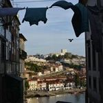 Pierre Díaz Pomar - @pierrediazpomar - Instagram