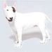 Pierre Dufour - Facebook