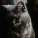 Pierre Dumas - @pierre.dumas.5245 - Instagram