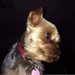 Pierre Dumas - @dumas4591 - Instagram