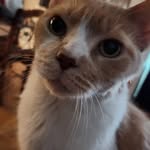 Pierre Dupre - @pierredupre6 - Instagram