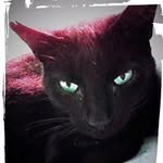 Pierre Eberhardt - @aaron51devil - Instagram