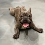 Groot Pierre Edwards - @thefrenchgroot - Instagram