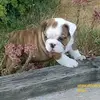 Pierre Fleury - @pierre.fleury45 - TikTok