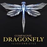 Pierre Fleury-Le Gros - @compagniedesdragonfly - Instagram