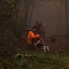 Pierre Gabriel - @pierregabriel06 - TikTok