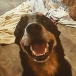 Pierre-Alexandre Gaudreault - @pierrealexandregaudreault - Instagram