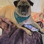 Pierre Gaudreau - Facebook