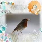 Marie-Pierre Lacoste Fargis - @mariepierrelacoste - Instagram