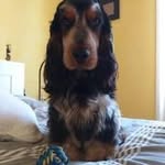 Pierre Lacoste - @pierre.lacoste30 - Instagram