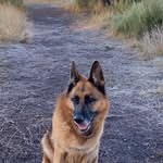 Pierre Lacoste - @pierre32054 - Instagram