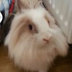 Pierre Lamothe - @pierre.lamothe - Instagram