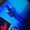Pierre Lecompte - @pierre.lecompte8 - TikTok