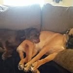 Pierre Lecompte - @pierre.lecompte.54 - Instagram