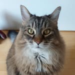Pierre Lévesque - @plevesque102019 - Instagram