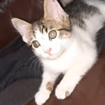 Pierre Levesque - @pierre.levesque.9619934 - Instagram