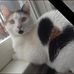 Pierre Lévesque - Facebook