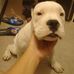 Pierre Masson - Facebook