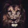 Pierre Otto - @pierre_otto - TikTok