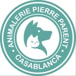 🐱🐕 Animalerie Pierre Parent 🐱🐕 - @animaleriepierreparent - Instagram