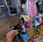Pierre Parent - Facebook