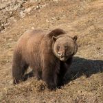 Pierre Perron - @perron4611 - Instagram