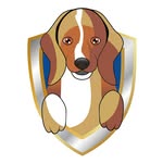 Pierre Realty - @pierrerealty - Instagram