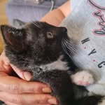 Pierre Sabagh - @pierre.sabagh - Instagram
