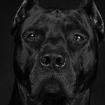 Pierre Scott - @pierrescott44 - Instagram