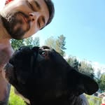 Pierre Seidel - @pierre.seidel.dogs - Instagram