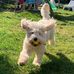 Pierre Turner - Facebook