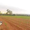 Pieter Coetzee - @pieter.coetzee4 - TikTok